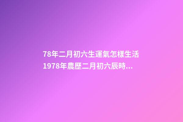 78年二月初六生運氣怎樣生活 1978年農歷二月初六辰時出生人的運勢-第1張-觀點-玄機派